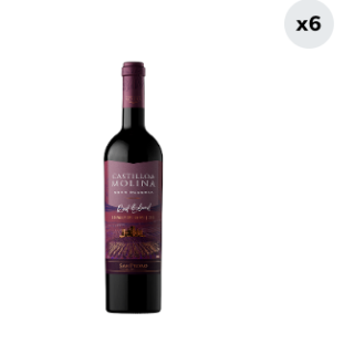 6x Vino Castillo De Molina Gran Reserva Red Blend 750cc