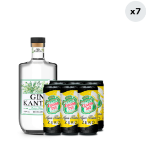 Pack Gin Kantal 43° 750cc + 6x Agua Tónica Canada Dry Zero Lata 310cc
