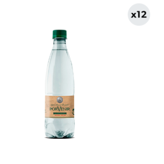 12x Agua Mineral Porvenir Sin Gas 500cc