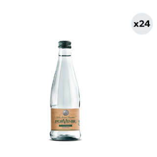 24x Agua Mineral Porvenir Con Gas 330cc